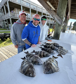 Catch of the day at the marina.