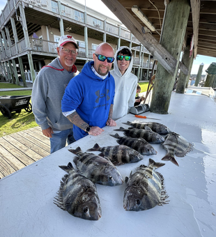 A day's worth of catches.
