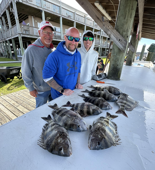 Dockside finds: a day's catch.