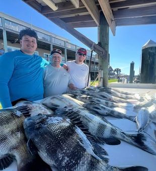 If you’re chasing sheepshead, the structure around Fort Morgan near Gulf Shores is hard to beat.