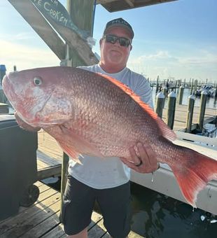 Offshore fishing in the Gulf of Mexico offers incredible opportunities to catch quality fish while enjoying a day on open water.