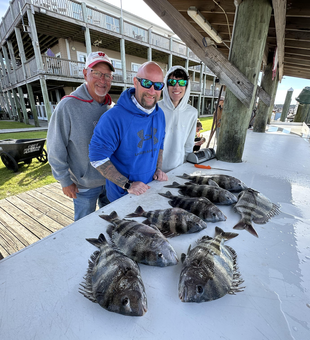 Looks like a successful day of fishing at the dockside.