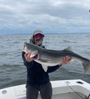 Impressive striped bass – Highlands NJ charter.