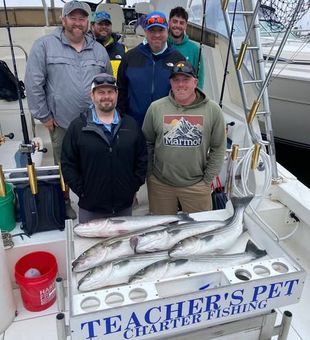 Solid striped bass catch – Highlands, NJ charter.