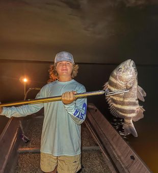 Sheepshead in Fernandina Beach, FL