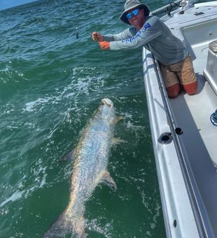 Tarpon in Fernandina Beach, FL