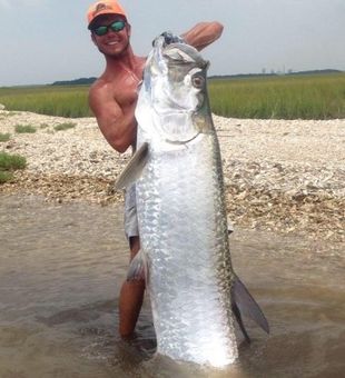 Top Hook Charters