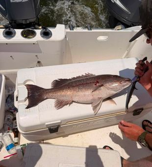 Mississippi fishing delivers impressive results on the water!