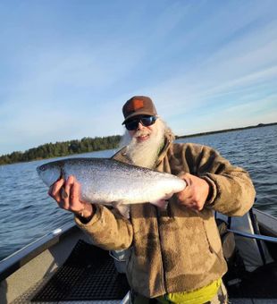 Bearded beauty with a shiny Chinook!
