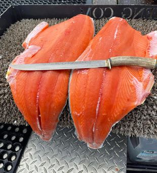 Fresh Chinook fillets—ready to feast!
