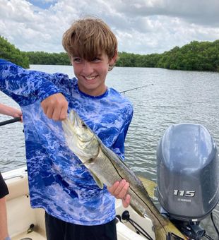 Snook fishing 2022 - Tampa Bay, FL