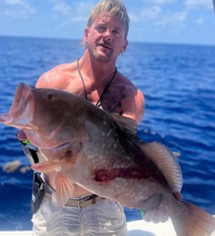 Florida Gulf Coast grouper fishing fun