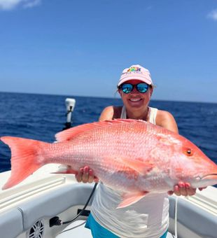 Another day, another snapper.