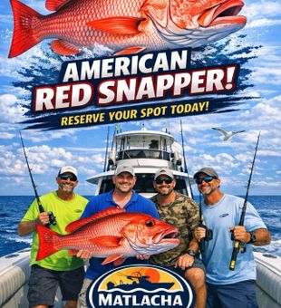American red snapper action with Matlacha charters!