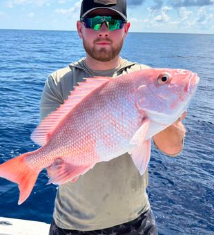 Beautiful red snapper from Matlacha FL waters!