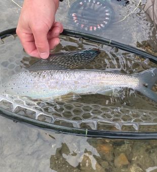 Enjoy Yukon's best trout fishing spots.