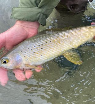 Guided trips ensure fishing success.