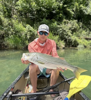 best guided fly fishing trips in Missouri