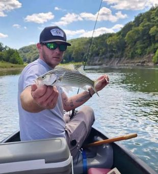 fly fishing for bass on North Fork River Missouri