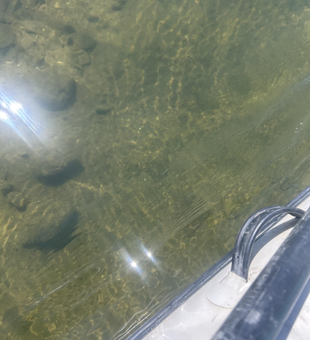 Crystal clear waters reveal perfect fishing conditions below.