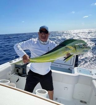 Mahi Mahi Frenzy