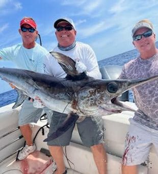 Swordfish in Key Largo, FL