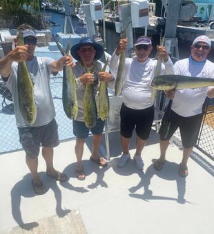 Mahi Mahi Mania Unleashed!