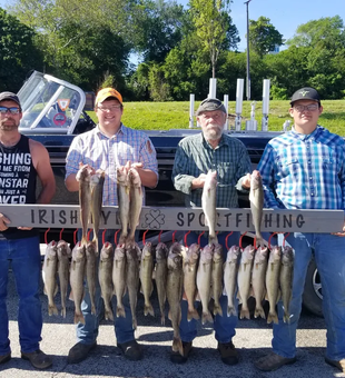 Family Walleye catch on Lake Erie!