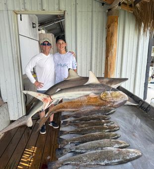 Mixed Galveston bay catch with redfish, trout, and sharks