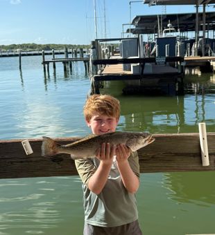 Proud young angler with a Galveston speckled trout