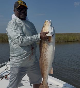 Nice Lafitte redfish making the day!