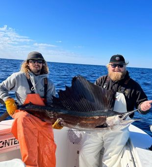 Deep sea fishing, Sailfish in North Carolina