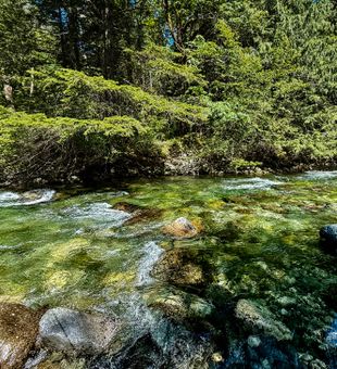 Crystal clear waters perfect for Ellensburg fishing adventures.