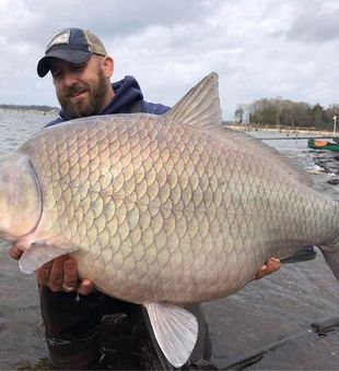 Buffalo Fish from Texas rivers