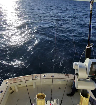 Lines in the water off Fort Lauderdale.