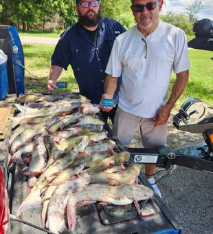 Bountiful Day! - Burleson, TX.