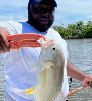Crevalle Jack from Naples, Florida