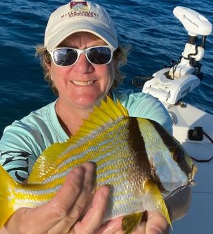 Naples and Marco Island, Florida