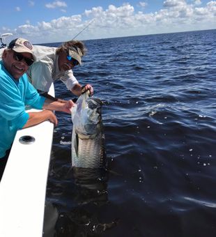 Giant Tarpon Fishing, Naples, FL
