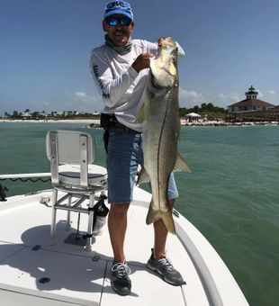 Snook Fishing in Naples