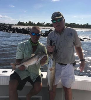 Red Drum Fish in Naples