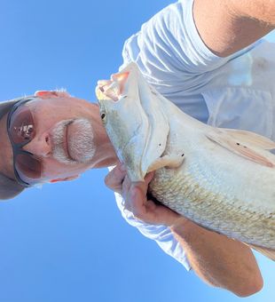 Redfish Action on Galveston Bay