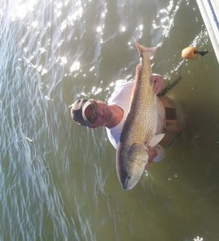 Catching Drum in Galveston Waters