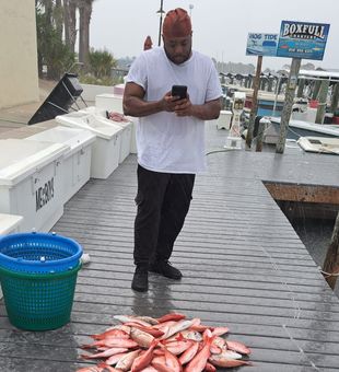 Keep those Red Snappers coming!!