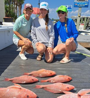 Fun with Red Snappers!!