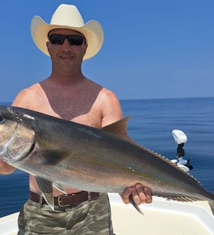 Reeled in this amazing Amberjack! Made my day!