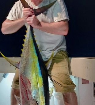 Yellowfin Tuna Fishing In Galveston, Texas