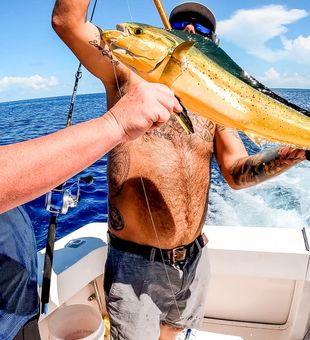 Offshore Fishing For Mahi Mahi, Texas