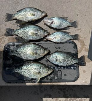Weekend win at Lake Lanier