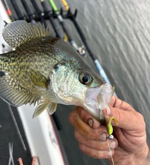 Got this on on d2d atx